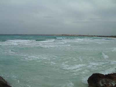 DSCF0054.JPG